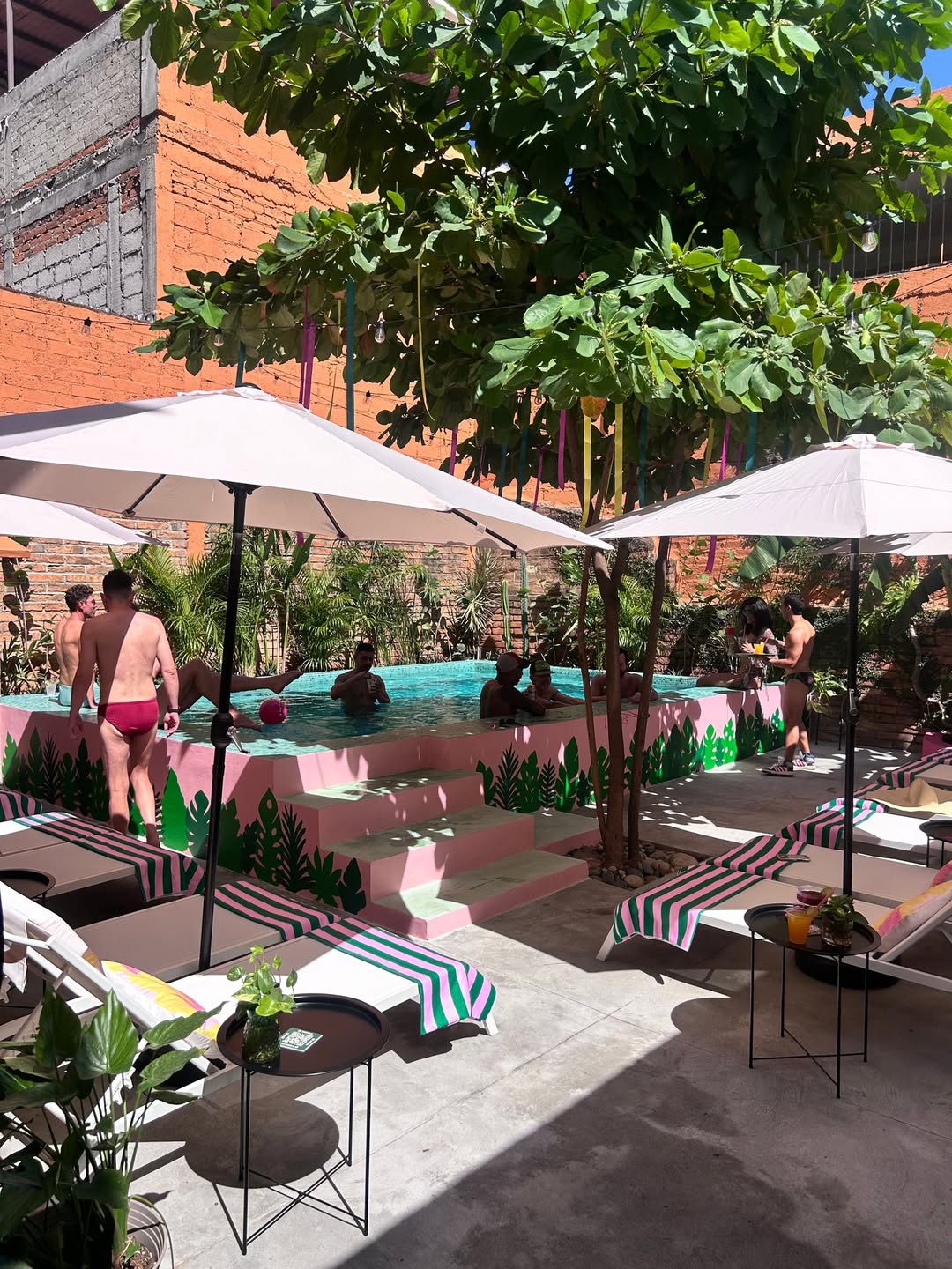 Morning Wood Adventure! | April 9-15th in Puerto Vallarta 🌞🍑🌴