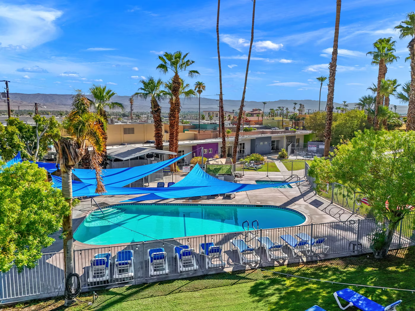 Morning Wood Adventure! | March 6-8th in Palm Springs 🍑🌴