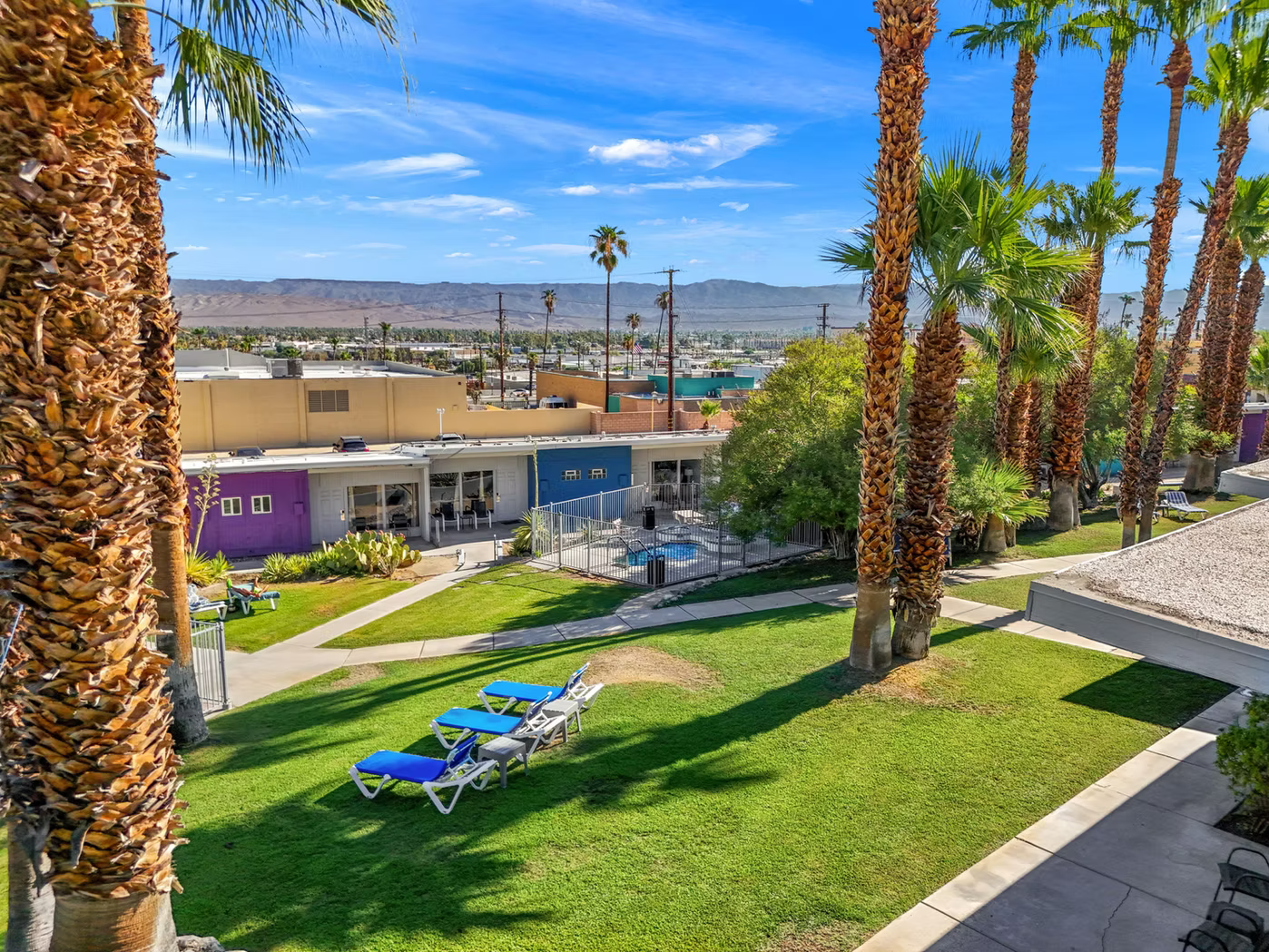 Morning Wood Adventure! | March 6-8th in Palm Springs 🍑🌴