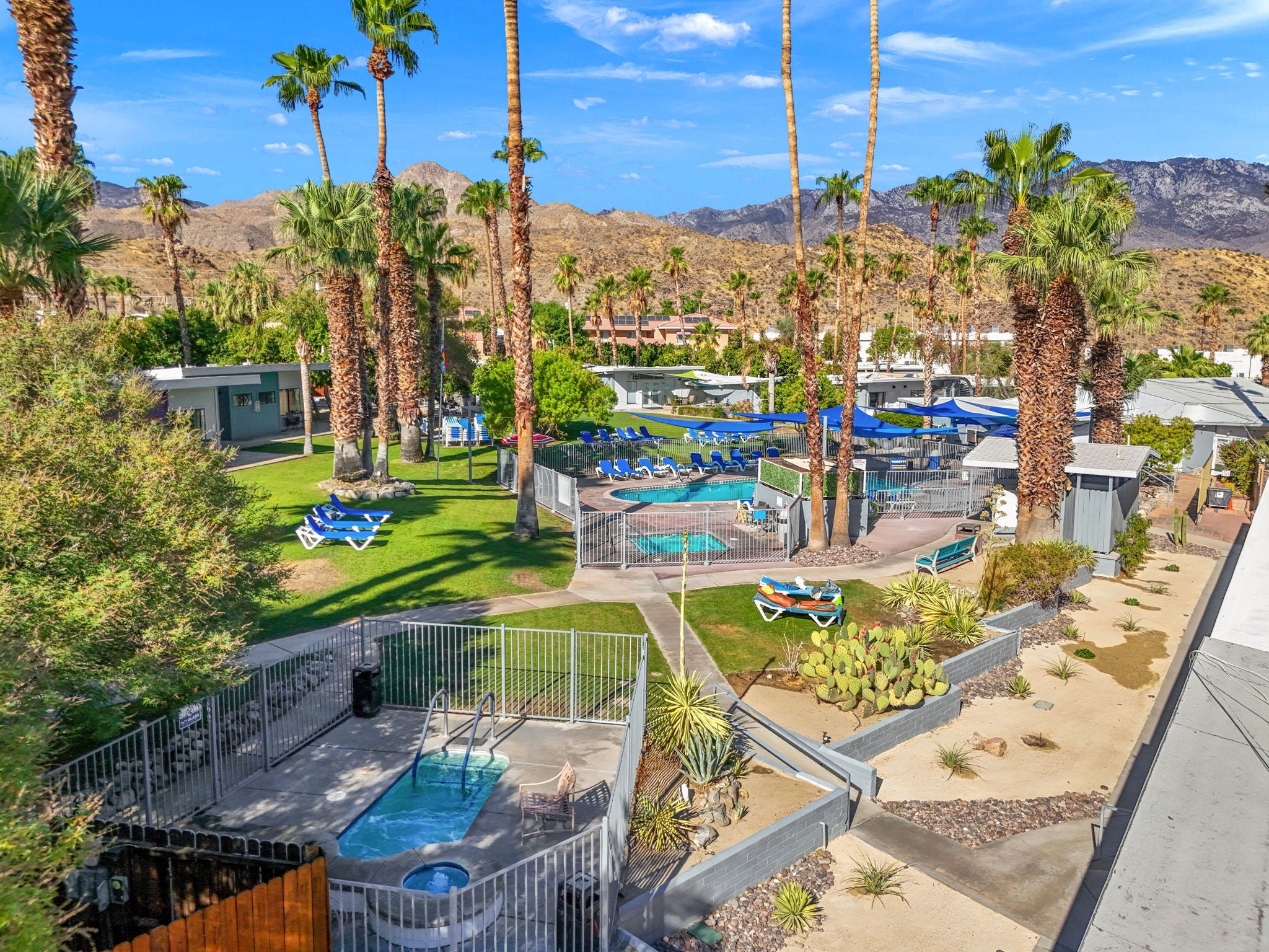 Morning Wood Adventure! | March 6-8th in Palm Springs 🍑🌴