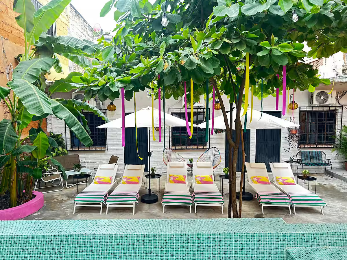 Morning Wood Adventure! | April 9-15th in Puerto Vallarta 🌞🍑🌴