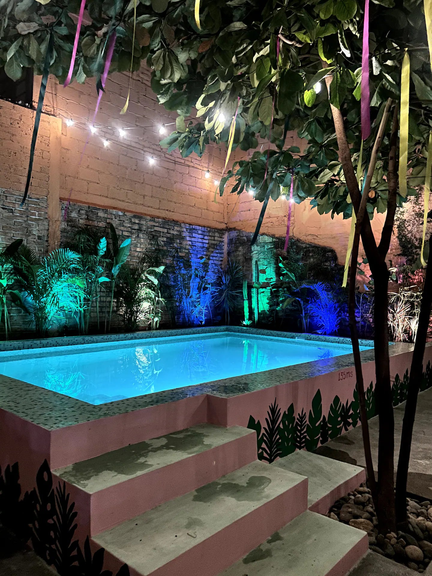 Morning Wood Adventure! | April 9-15th in Puerto Vallarta 🌞🍑🌴